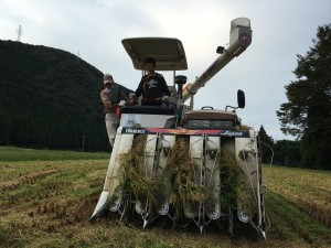 2016稲刈り、無事に終了です！！