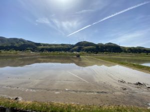 晴れても寒い…。