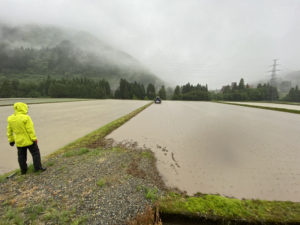 順調ですが雨ばかり。。。