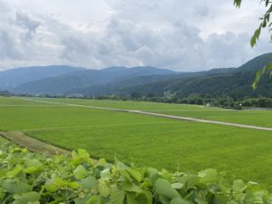 鳥越はいい景色です！！