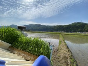 後半戦の田植えスタートです！！