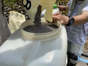 追肥入ります！！