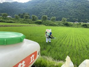 追肥撒き順調です！！