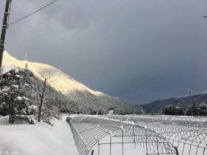 IMG_5226