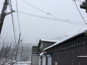 IMG_5620