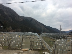 IMG_5637