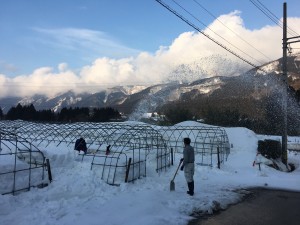 175AD62B-CE8F-4F64-9CA8-7E2CA241F305