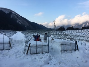 1925900F-32E5-49C2-B6F6-F8578AEA2093