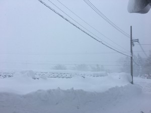 34E75A09-D16D-4283-B0AC-9ABBB1EB4D1E