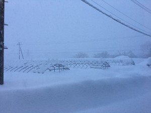 8C406F53-DCFF-4C5D-9DE6-9DDB572E308E