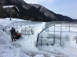 F5340628-3894-4A63-B658-52A1E2469188