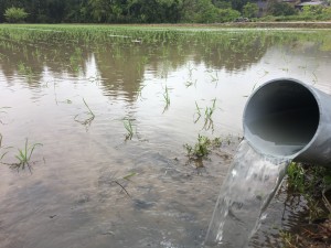 17165483-6F21-440A-912F-2182F76B311A