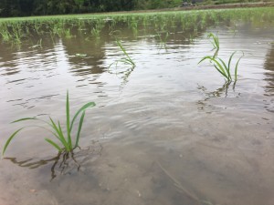 A9DCAB10-991C-4217-A4C3-FFA9634DE2A8