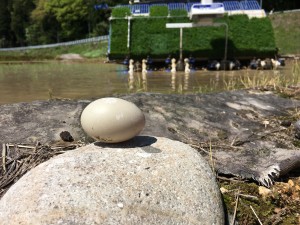 B745101A-B9E8-426F-AFB0-520CD49351B6