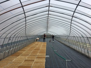 D2A8861D-02B6-4E6F-8C52-2D56A4C068F6