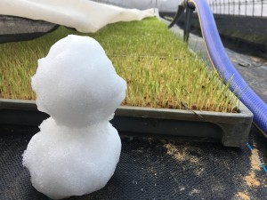 EBAAEBBE-D586-4FAE-B13F-E503D09C767C