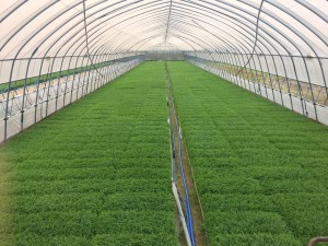 0409037A-CB07-4CF0-B58D-92416BBE4968