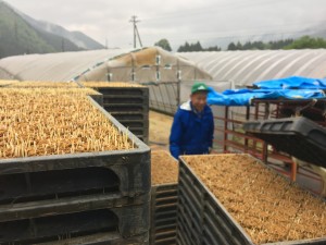 85FBB0AF-7705-44D9-A02A-29B4E11B5F98