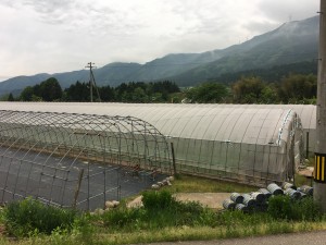 CECC4606-7D9F-43B7-9042-FE32D0ACFDA6