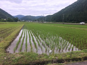 27C0F431-BDE6-46C9-99DC-FFAEDAFD3B72