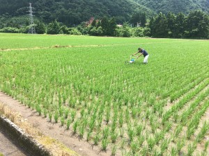 712B7B44-191C-4240-8D1C-F3C6901B22FB