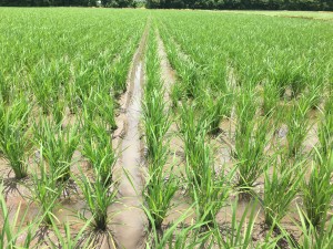 AD08FA4E-D80B-4D8D-9C99-A6401875729D