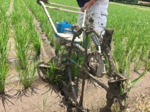 D91CA10C-8756-4625-B1E8-1B63CBFEF6E8