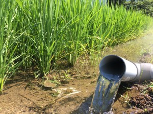 3FB9D0D6-6559-48B6-80CB-EEB884282177