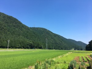 F12091C0-6AED-42FF-BF2E-1D987138FBA5