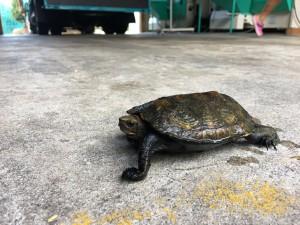 979DA12A-C130-4D8A-9761-089D42499951