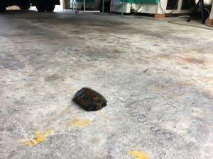 A559C70D-82B2-4753-85EF-80C1C05F3B5F