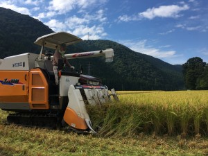 E046B1ED-A2F7-418E-BBBC-5A4F4AA36621