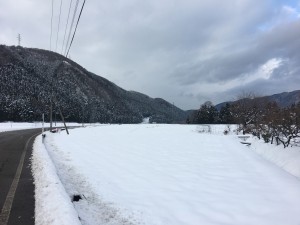 60599906-E65A-4957-A0F4-CC13D0E28B3F
