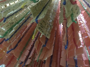 E6433B3E-48BD-4F57-AE76-A1A5B896FB52