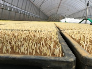 219C8CD8-A4BD-4B3B-8BC6-D0CD4BDE6FAD