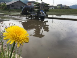 1648C24E-7AEC-4162-8088-35C27CFB60A8