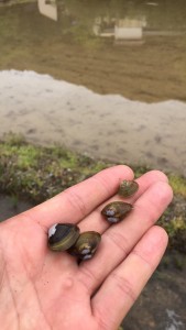 4B69A47F-E0AF-4201-9492-9B9F0F1432D6