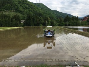 E8436698-B886-462A-B7BE-DA135E9571AE